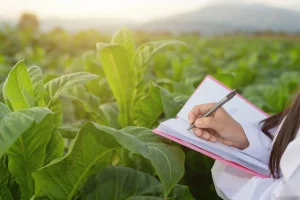 MENGAMANKAN ASET LAHAN DENGAN HUKUM AGRARIA